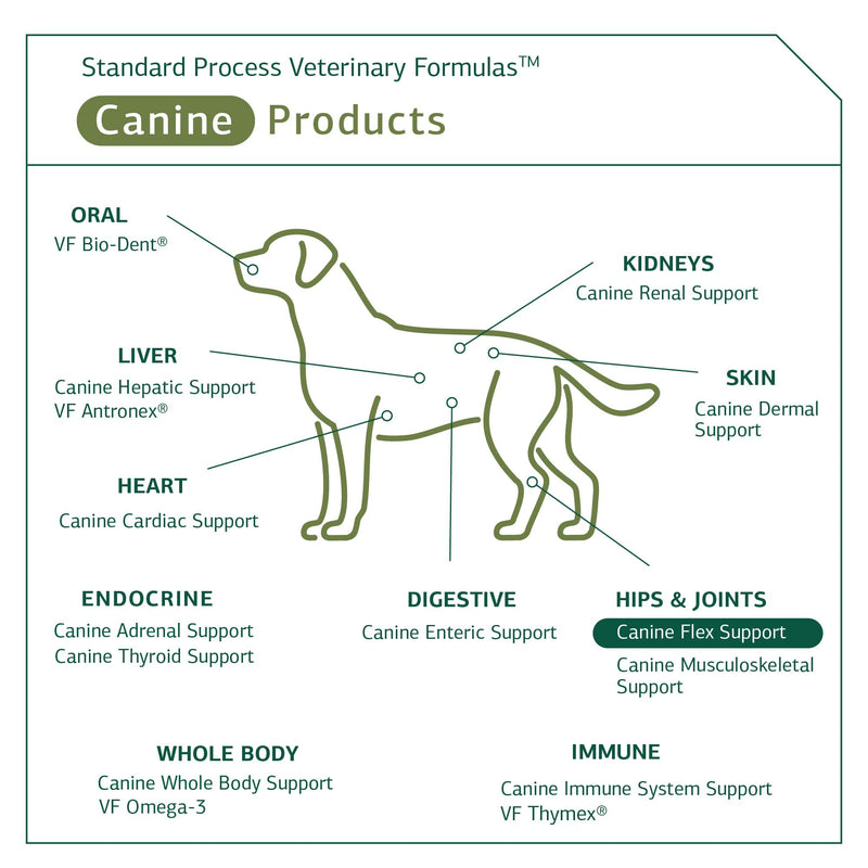 Standard Process Canine Flex Support - Joint & Immune Health Support Supplement for Dogs - Chewable Wafers for Healthy Joint Function Support - Nutritional Whole Food Supplement - 100 wafers - PawsPlanet Australia