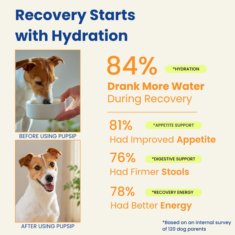 Dog Hydration Support – Helps During Stomach Upset, Vomiting & Diarrhea – Restores Appetite & Boost Energy with Electrolytes and Turkey Tail Mushroom, 12 Sticks