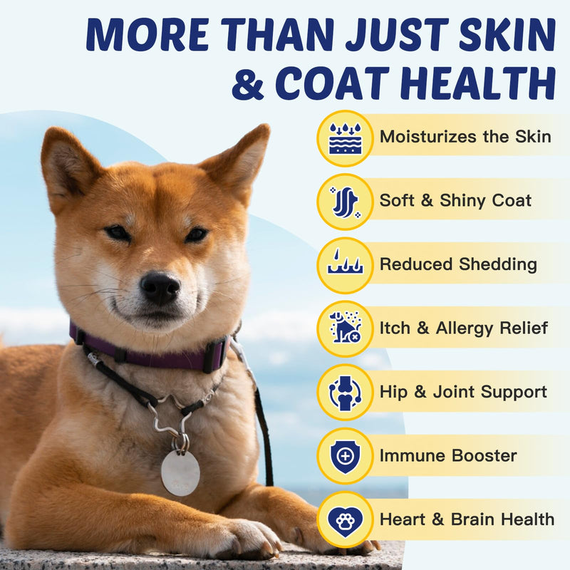 ZEBORA Probiotics for Dogs – 6 Billion CFUs & 10 Strains with Prebiotics, Omega 3 Fish Oil for Dogs Skin and Coat