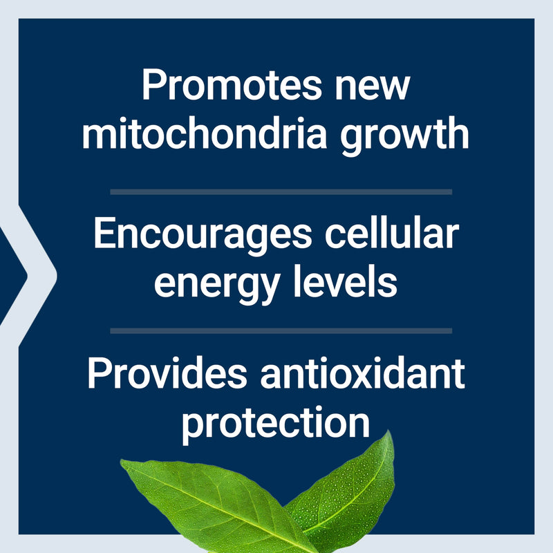 Life Extension PQQ, pyrroloquinoline Quinone, 20 mg, Promotes The Growth of New Mitochondria, Gluten-Free, Non-GMO, Vegetarian, 1 Daily, 30 Capsules | Pyrroloquinoline Quinone Promotes Cellular Energy & Mitochondrial Health, Take 1 Daily, Gluten-Free, ...