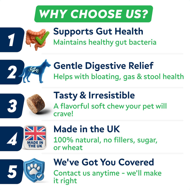 Advanced Probiotics for Dogs Gut Health with Fibre - Pre, Post & Probiotic Treats - Dogs Digestive Health Sensitive Tums Support - All Breeds & Ages - Dog Probiotics for Gut Health (180 Ct) Pork 180Ct Probiotic Chews