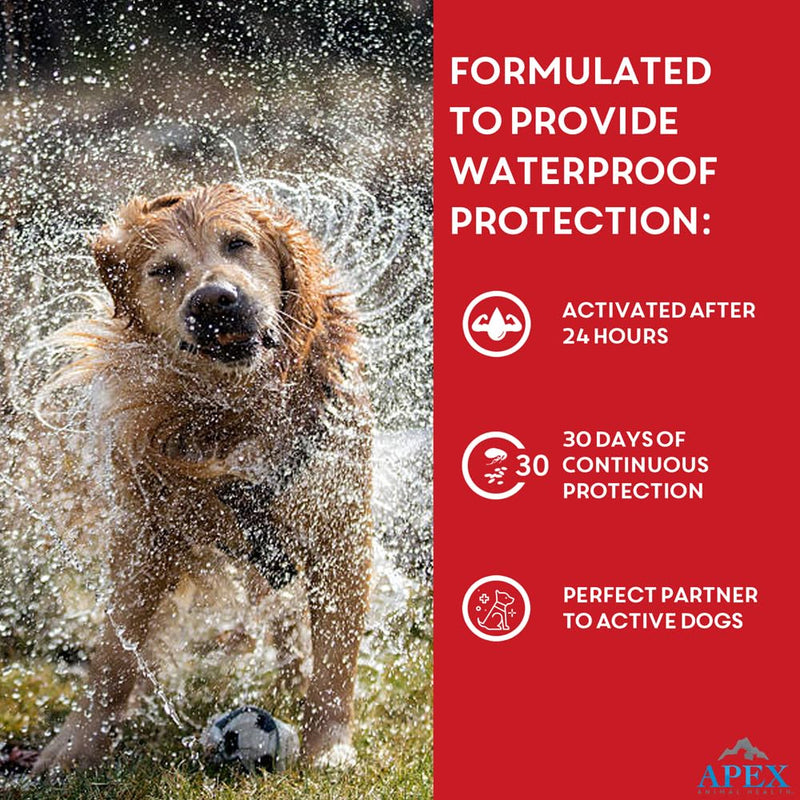 Apex Plus Flea and Tick Prevention for X-Large Dogs (89-132 lbs) | 6-Month Supply | Waterproof, 24-Hour Activation, 30-Day Protection 6 Count 89-132 lbs
