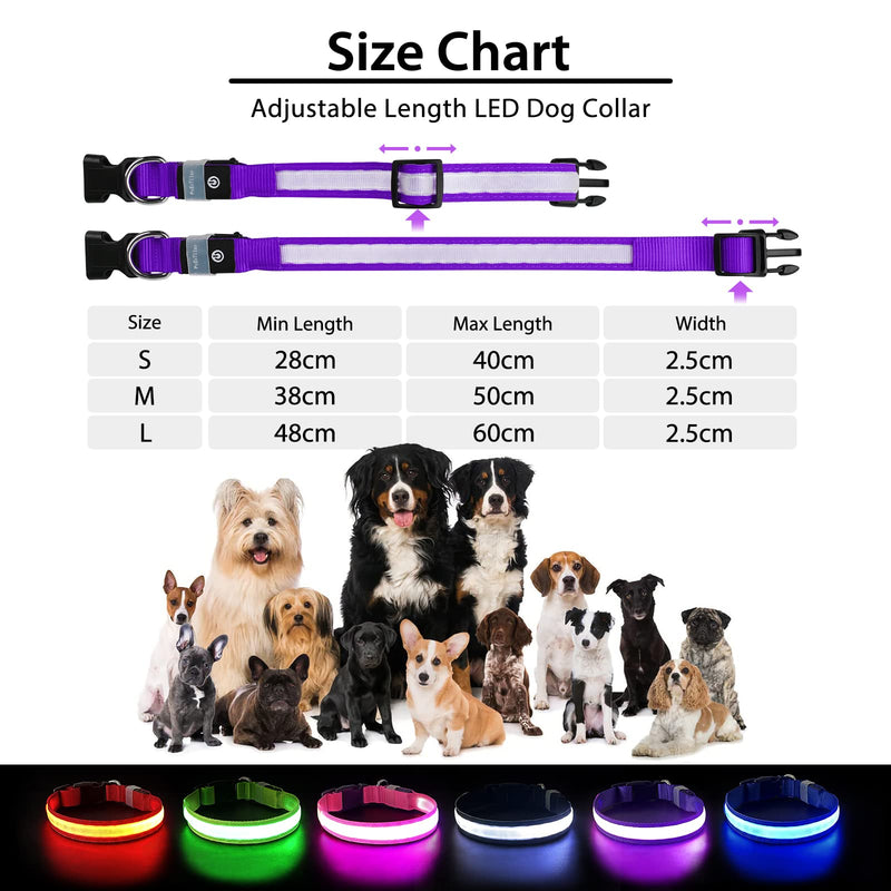 PcEoTllar Light up Dog Collar for Night Walking - LED Dog Collar Light Rechargeable Color Changing, Glow in The Dark Dog Collars Waterproof Glowing Dog Collars for Large Small Medium Dogs Purple M(15 inch-19.7 inch) - BeesActive Australia