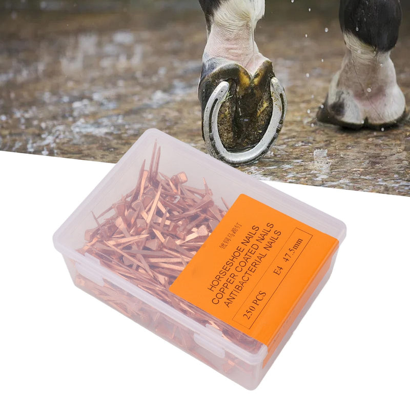 250Pcs Horseshoe Nails, Solid Pure Copper Equestrian Riding Equipment Horseshoe Tools for Horse Racing Training (47.5mm E4) 47.5mm E4 - BeesActive Australia