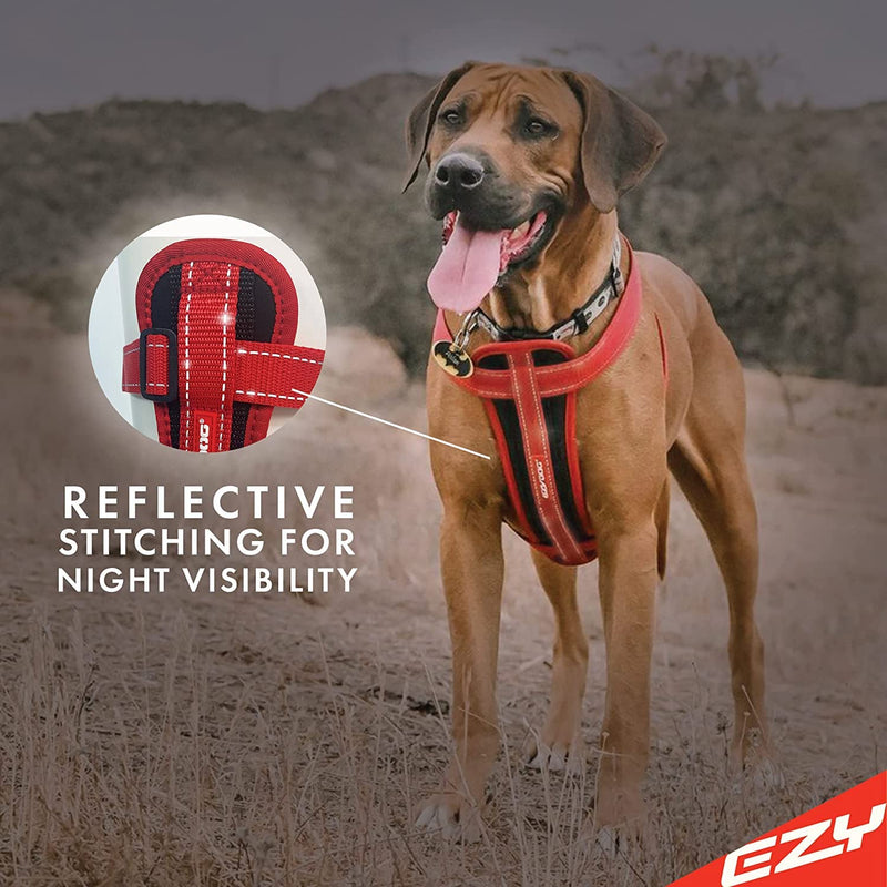 EzyDog Premium Chest Plate Custom Fit Reflective No-Pull Padded Comfort Dog Harness - Perfect for Training, Walking, and Control - Includes Car Restraint Attachment (Large, Blue) Large - BeesActive Australia