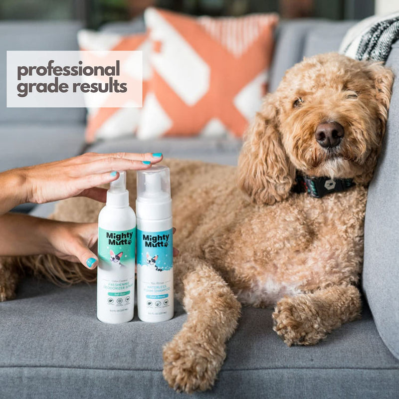 Mighty Mutt Natural Deodorizing Dog Spray | Odor Control and Freshening | Dog Spray for Smelly Dogs | Hypoallergenic, Calming and Moisturizing | Soft Rain, 8oz - BeesActive Australia