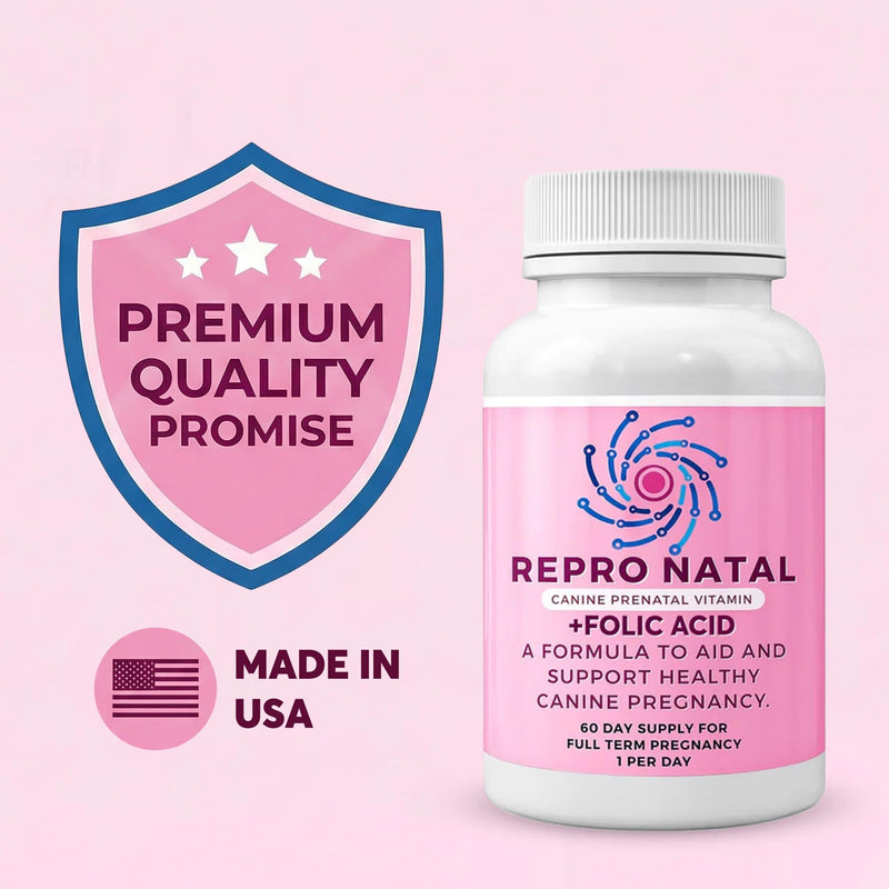 Prenatal Multi-Vitamin Capsules - 60-Day Supply to Aid Full-Term Pregnancies and Promote Optimal Health for Expecting Dogs - ReproNatal™ Dog Supplement Prenatal (Female Dog)