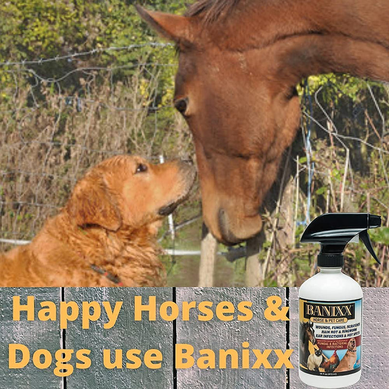 BANIXX Essential First-Aid Solution - BeesActive Australia