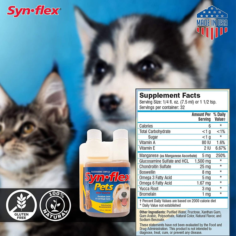 America Synflex for Pets - Liquid Glucosamine Joint Complex for Dogs, Cats - Senior Canine & Feline Chondroitin Juice Care Supplement - Helps Support Joint and Cartilage Health - Beef Flavor - PawsPlanet Australia