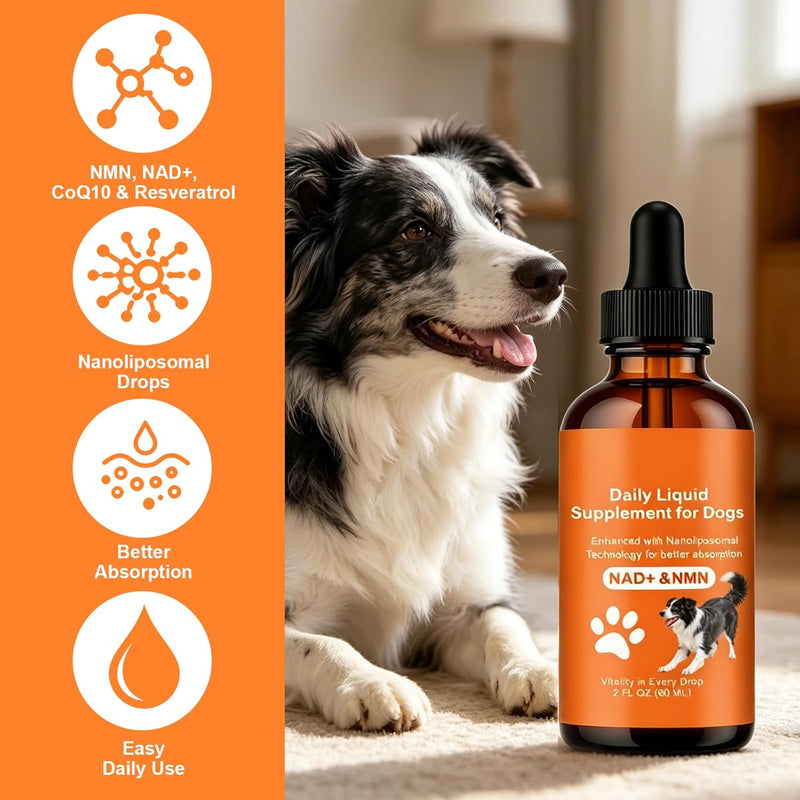 NAD+ for Dogs - Longevity Supplements for Dogs Energy, Vitality, Healthy Aging, Cognitive Health - Senior Dog Supplement with NR, Trans-Resveratrol, Quercetin, Glucosamine HCI - 60ML