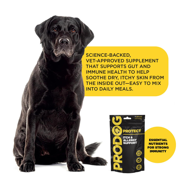 ProDog Protect Itch & Allergy Support for Dogs | 14 Natural Ingredients | Skin Supplement Powder (100g) 100 Gram