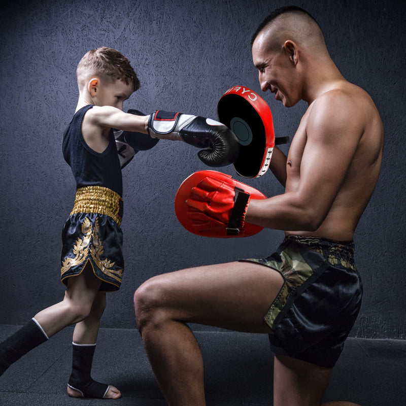 3-in-1 Boxing Pad Set –Focus Punching Mitts, Martial Arts Target Training Paddle and Kicking Pad for Kickboxing Taekwondo Karate MMA, Boxing Equipment Sparring for Kids, Teens & Women - BeesActive Australia