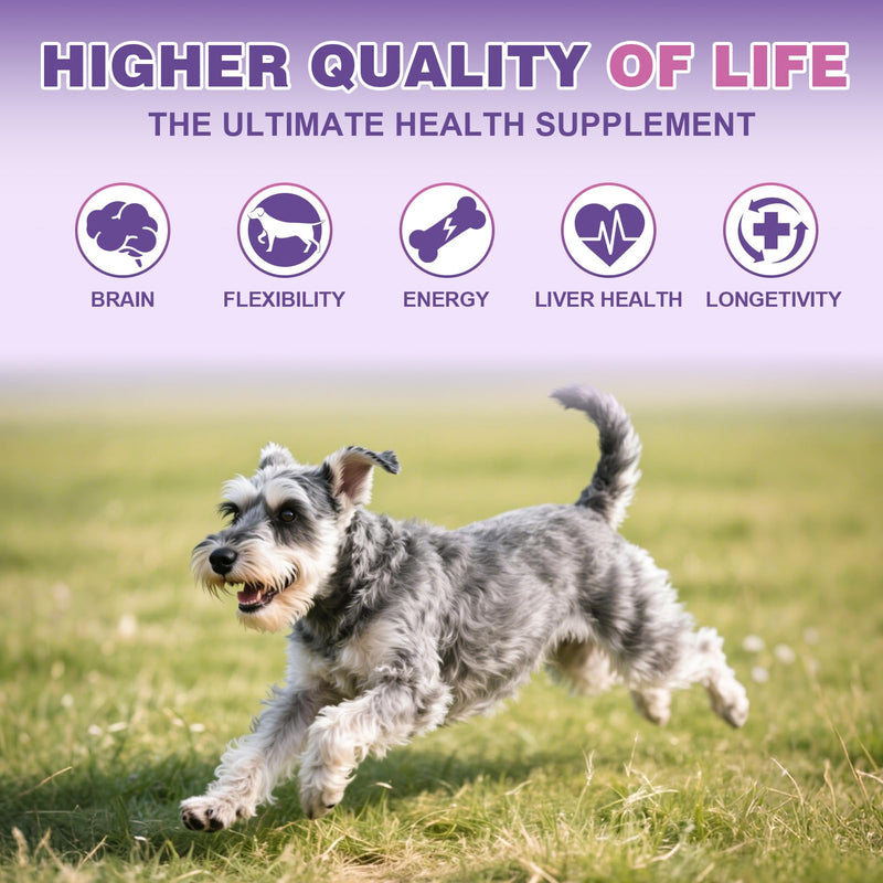 Dog Multivitamin Chewable 200 Ct Dog Vitamins and Supplements Containing Chondroitin Omega Probiotics Glucosamine for Dogs Skin and Coat, Hip & Joint, Heart, Liver, Brain, Eyes - Suitable for all dogs