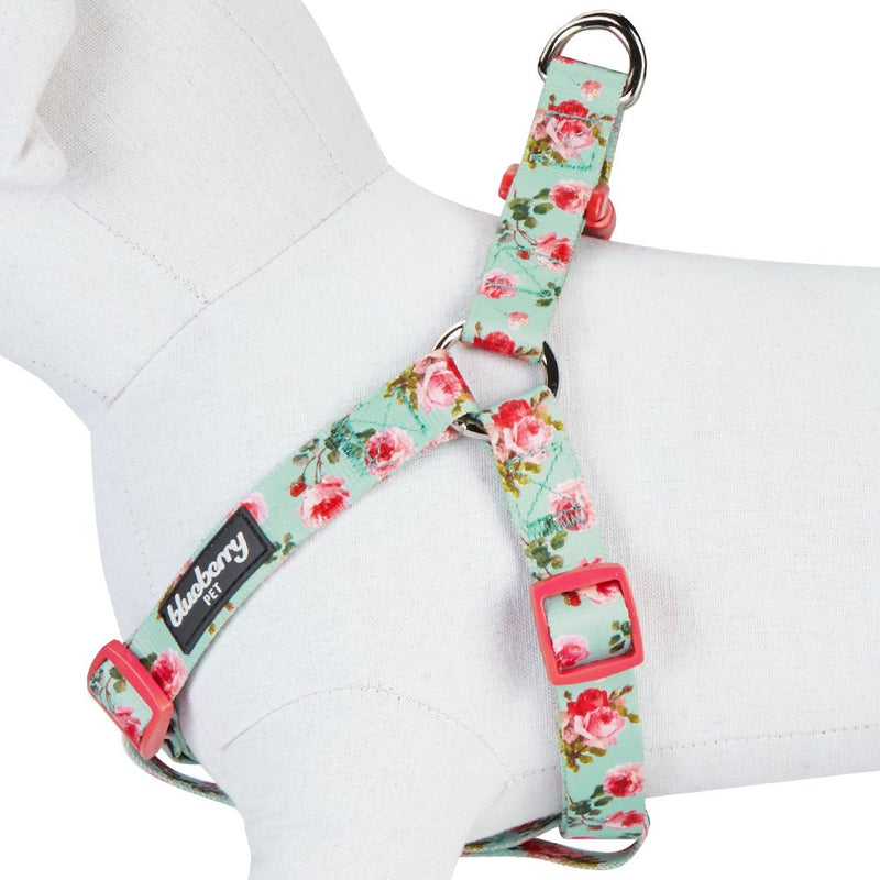 Blueberry Pet 9 Patterns Step-in Spring Scent Inspired Floral Rose Print Turquoise Dog Harness, Chest Girth 20" - 26", Medium, Adjustable Harnesses for Dogs (20" -26") Chest Girth (Pack of 1) - BeesActive Australia