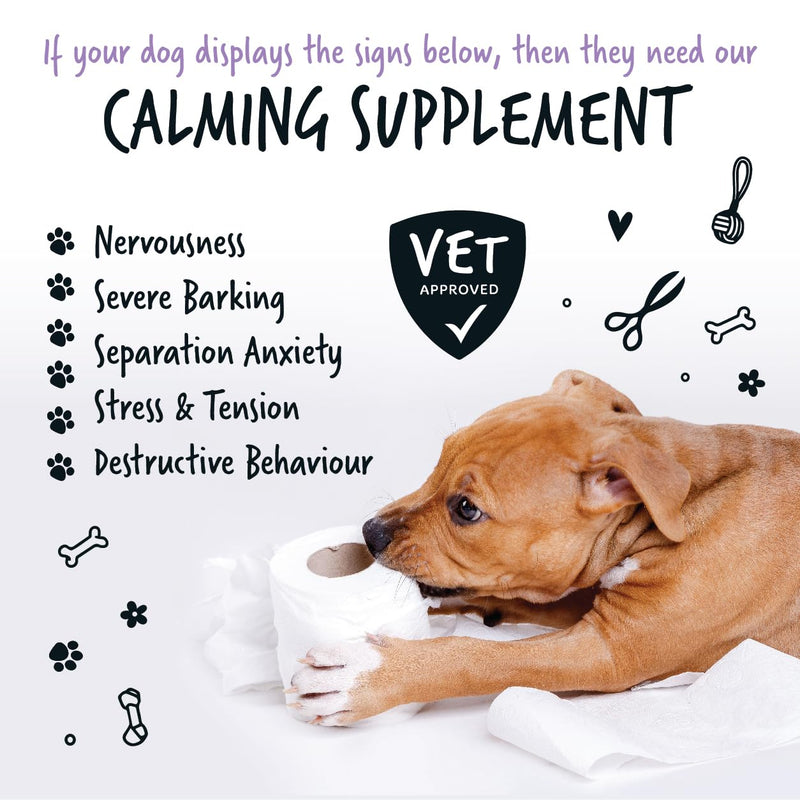 BUGALUGS Dog Calming Products - Perfect Remedy for Dog Anxiety relied - Easy to Use Powder, No Tablets, Spray or Plug in Needed - Suitable for All Breeds (80g) 80g