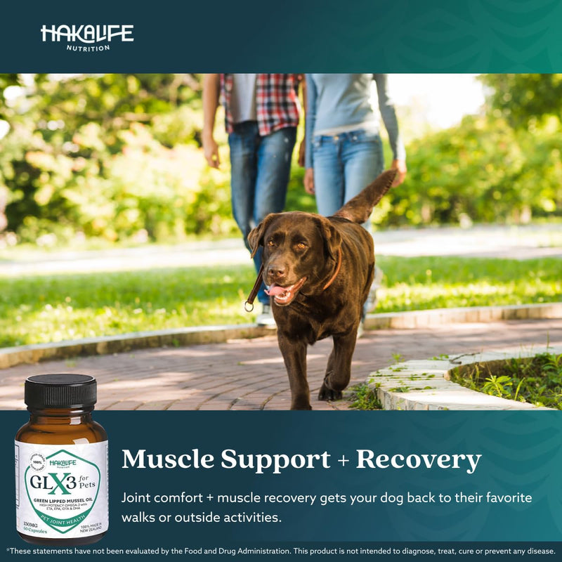 GLX3 Green Lipped Mussel Oil for Dogs | Joint & Hip Comfort Omega-3 Supplement | Ideal for All Dog Breeds and Ages | 1 Month Supply, 60 Soft Chews w/Natural Ingredients 1 pack - PawsPlanet Australia