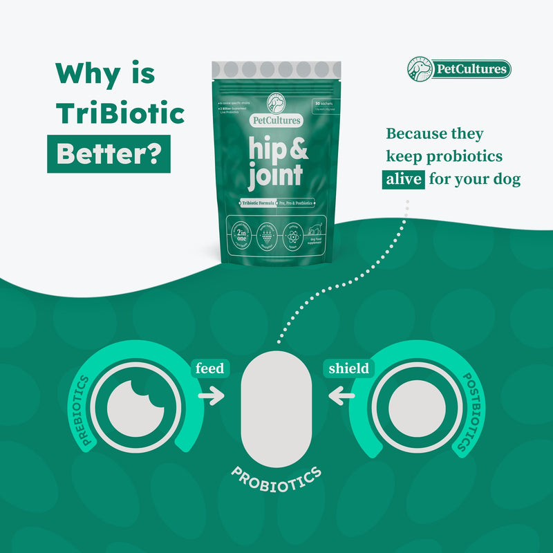 Joint Support Supplement for Dogs - Glucosamine for Dogs Hip and Joint Supplement, Dog Arthritis Supplement, Dog Pain Relief Medication, Probiotics for Dogs, 30 pcks Powder Made in USA Hip and Joint PRO - PawsPlanet Australia