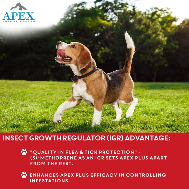 Apex Plus Flea and Tick Prevention for X-Large Dogs (89-132 lbs) | 6-Month Supply | Waterproof, 24-Hour Activation, 30-Day Protection 6 Count 89-132 lbs