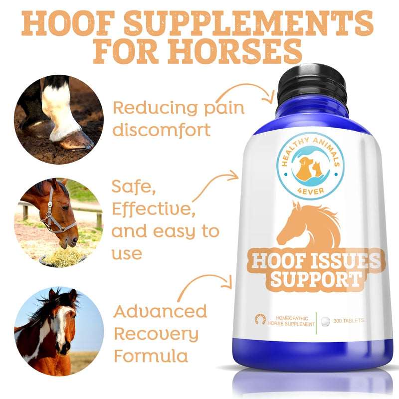 All-Natural Horse Hoof Support Pellets - Horse Hoof Care Products for Damaged or Injured Hooves - Hoof Supplements for Horses - Homeopathic & Highly Effective - 300 Tablets - BeesActive Australia