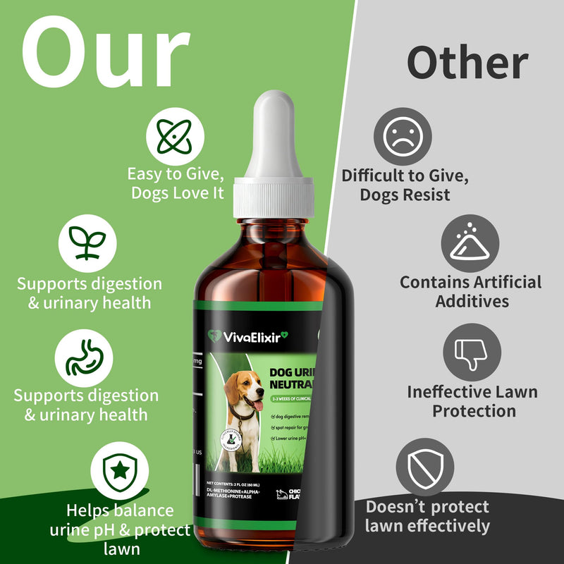 Cranberry Supplement for Dogs – Digestive Enzymes + Cranberry + DL Methionine –Pee Grass Spot Saver Caused by Dog Urine, Grass for Dogs, Dog Pee Green Grass Support, Lawn Spot Care Drops, 2 oz