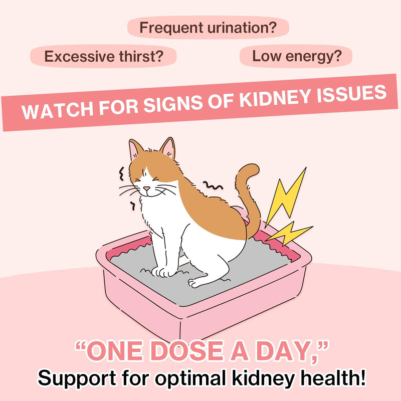 Doctor By UT Care Cat UTI Kidney Support Urinary Supplement Cranberry Treatment for Cats Renal Health with Pacran, Quercetin, Taurine lickable Formula Individually Packaged (1 Pack) 1 Pack