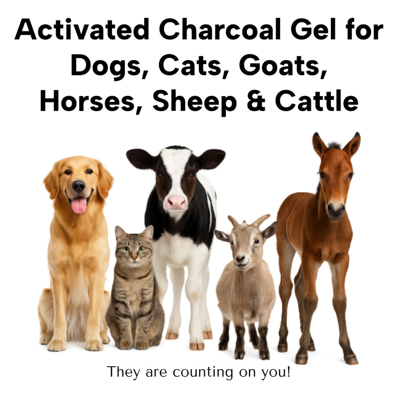 LBH MARKET Liqui-Char Vet Emergency Kit, Activated Charcoal Gel for Dogs, Cats, Goats 80mL Dial-a-Dose Syringe, Emergency First Aid Card, and 12 Ml Fluid Delivery Syringe, Pet Toxin Treatment