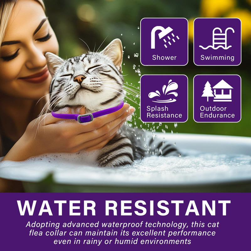 Tick flea collar for cats, flea collar for cats, effective protection for 8 months, adjustable and waterproof, suitable for all cats 1 piece - BeesActive Australia
