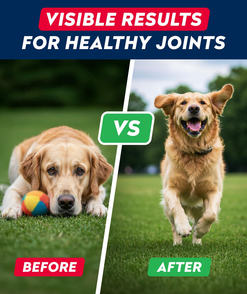 Glucosamine Treats for Dogs - Hip & Joint Supplement w/Omega-3 Fish Oil - Chondroitin, MSM - Advanced Mobility Chews - Joint Pain Relief - Hip & Joint Care - Bacon Flavor - 180 Ct - Made in USA 180Ct (Bacon)