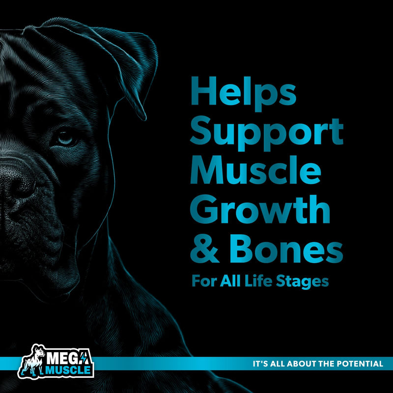 Dog Muscle Growth Powder – Blue Mussel & Bone Broth Topper for Dogs | Muscle, Bone & Joint Support | Protein-Rich Supplement | 3.2 oz