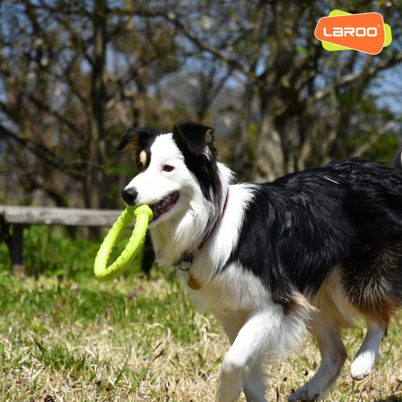 LaRoo Dog Flying Ring Toys, Floating Flying Disc ABS Durable Interactive Chew Toys for Training Outdoor Playing Puppy Medium Large Dogs (Small Green/18cm) Green-S - BeesActive Australia
