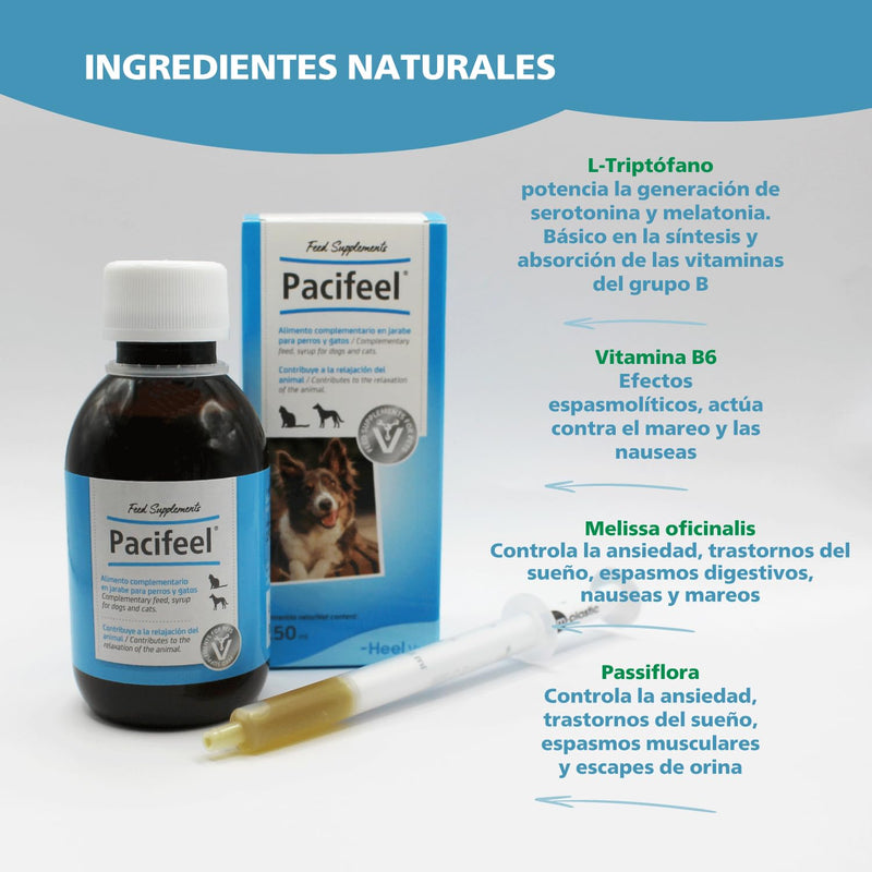 Heel - Pacifeel Syrup, Food Supplement for Dogs and Cats with Melissa and Passionflower, Promotes Relaxation and Controls Stress and Anxiety Naturally, with Good Taste - 150ml