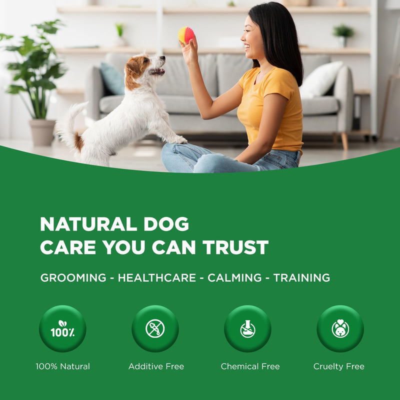 Dog Doctors Hot Spot Foam – hot spot Support for dogs, Tea Tree & Aloe Vera Formula, Helps Soothe Itchy Skin, Supports Sensitive Areas from Pawing & Chewing, Dog Itchy Skin Care