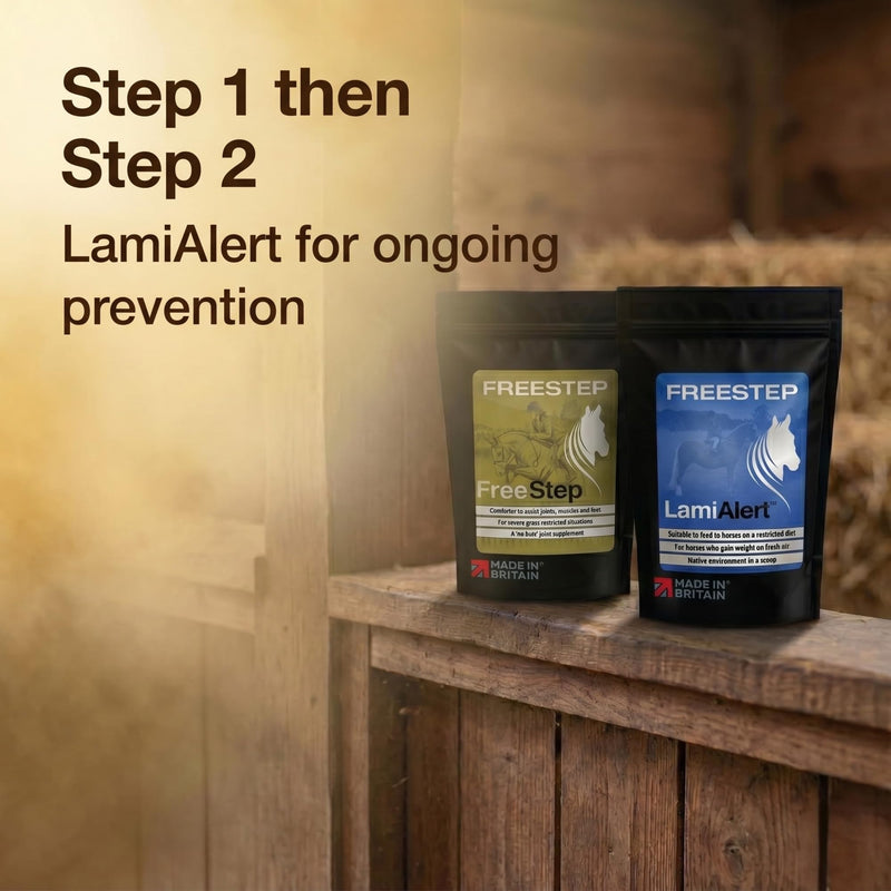 Original | Rapid stiffness relief for Laminitis Prone Horses | Intensive Horse Supplement | Magnesium, Boswellia & Bromelain Powder | Equine Mobility & Hoof Comfort | Molasses Free Low Sugar 250g | 1 Months Supply