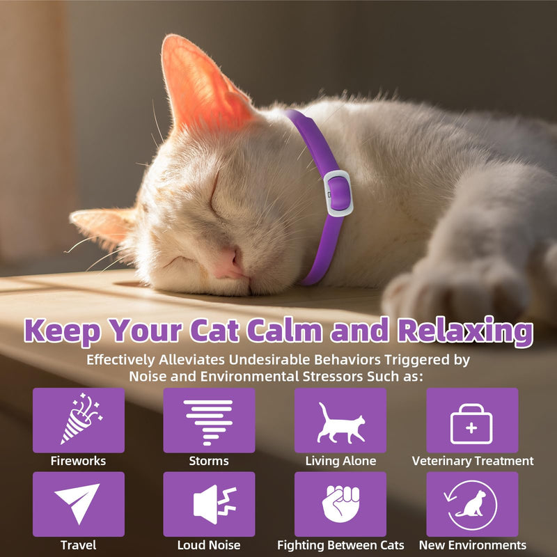 Cat Calming Collar for Cats, Pheromone Collar for Cats Long Calming Effect for Small, Medium and Large Cats - PawsPlanet Australia
