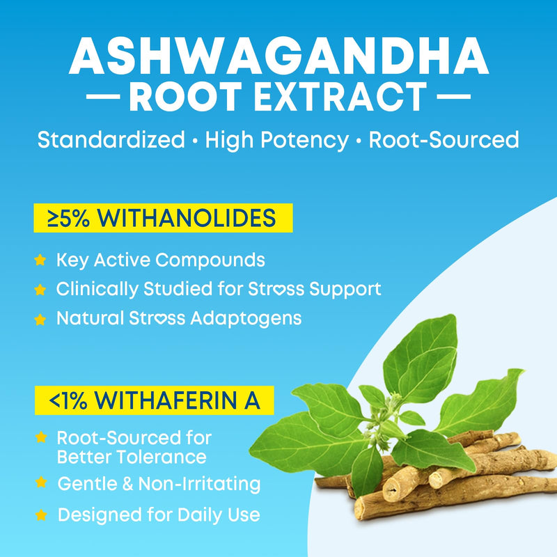 90 Count Ashwagandha Gummies with L-Theanine, GABA, Magnesium & Vitamin D3, Organic Ashwagandha Supplements for Women & Men for Relaxation & M00d Balance, Vegan, Sugar Free, Mixed Berry Flavor 90 Count (Pack of 1)