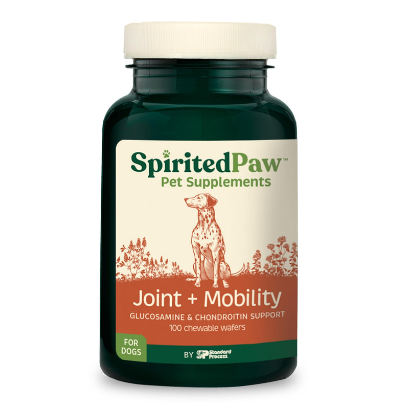 Spirited Paw Joint + Mobility - Joint Support & Comfortable Mobility for Dogs - Beet Root, Turmeric Extract & Ginger - Includes Antioxidants and Vitamins C & E - 100 Chewable Wafers