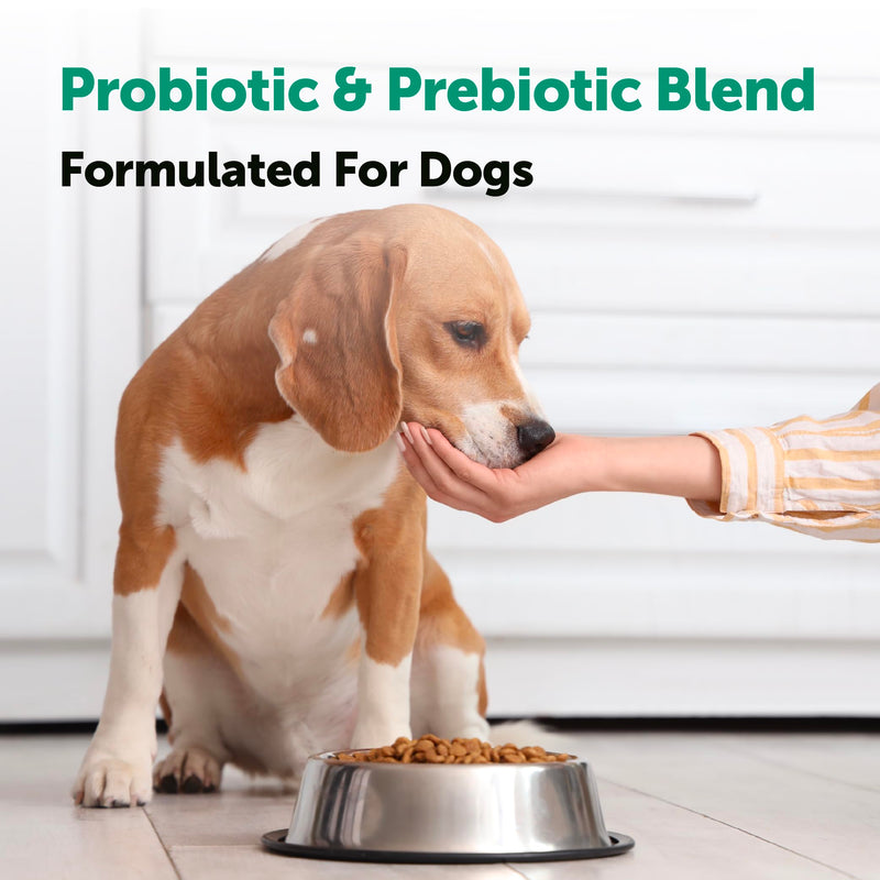 Micro Ingredients Probiotics for Dogs, 240 Soft Chews | Daily Digestive Health Probiotic Chews for Dogs with Prebiotics & Enzymes | Supports Gut Flora & Immune Function* | Non-GMO, Duck Flavor
