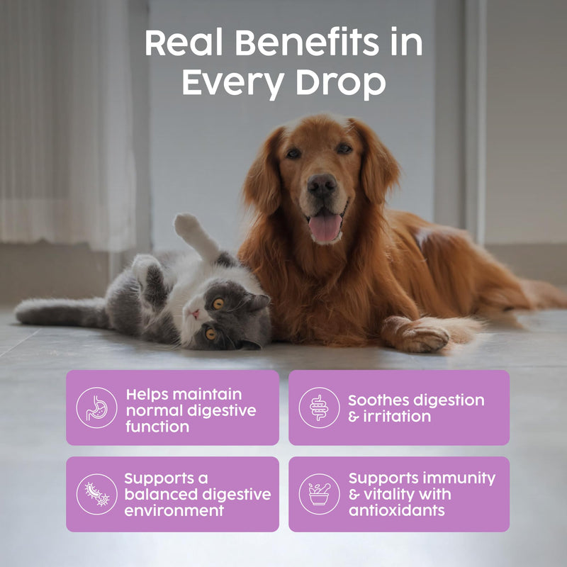 Wormwood Drops for Dogs - Herbal Digestive Supplement for Dogs & Cats, 100% Natural Botanical Liquid with Wormwood, Quassia & Black Walnut, Supports Digestive Balance & Gut Health | 50ml