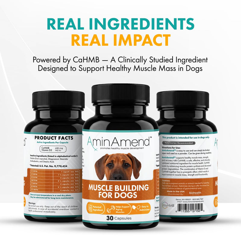 Muscle Support Dog Supplements for Large Breed (21lbs+) with CaHMB & Vitamin D3 – Supports Strength, Mobility & Daily Activity for All Ages & Senior Dog – (30 Capsules) 430 mg
