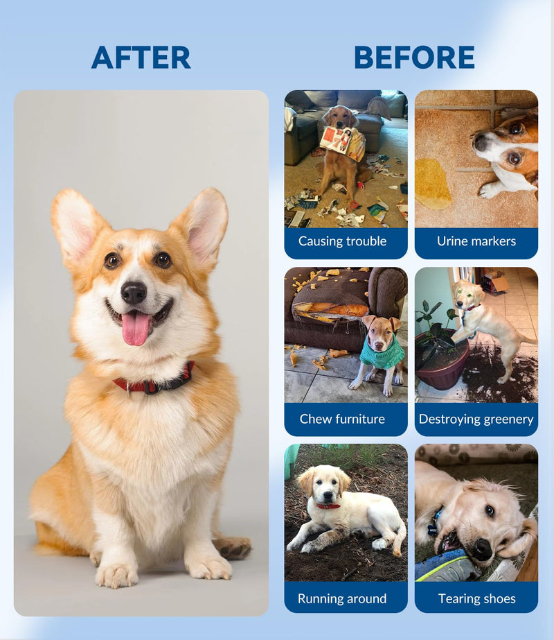 Enhanced Effectively - 100ml Bitter Spray for Dogs, Dog No Chew Spray, A Safe and Natural Behavior Correction and Training Spray for Dogs and Puppies, Indoor & Outdoor Use (Blue)