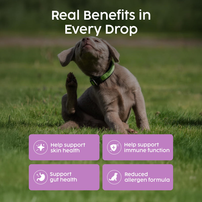 Immune Support for Cats & Dogs - Slippery Elm for Dogs Digestion, Dog Immune Booster, Itchy Dog Skin Relief, Veterinarian Herbal Supplement | 50ml