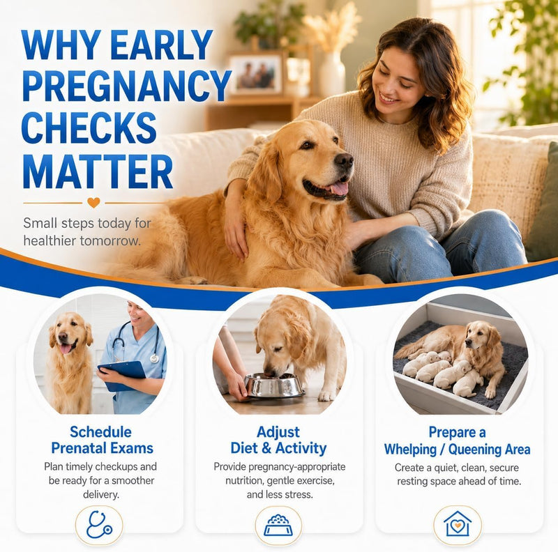 2-Pack Dog & Cat Pregnancy Test Kit – Early Home Urine Detection for Retesting or Multi-Pet Homes, Fast 5-10 Min Results, 98.8% Accurate, Non-Invasive & Stress-Free 2 Pack