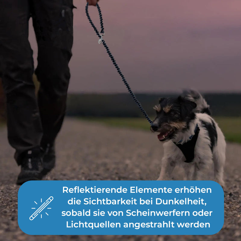 Test grade: Very good - dog leash reflective I 3m, adjustable, weatherproof & tear-resistant up to 250 kg I paracord lead, shoulder leash I small - large dogs black - black 3 m dogs from 15 kg - BeesActive Australia