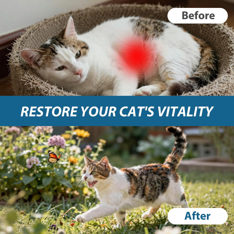 Cat Dewormer Tablet for Cats & Kittens – Praziquantel & Pyrantel Pamoate, Broad Spectrum Dewormer for Tapeworms, Roundworms & Hookworms, 60 Tablets