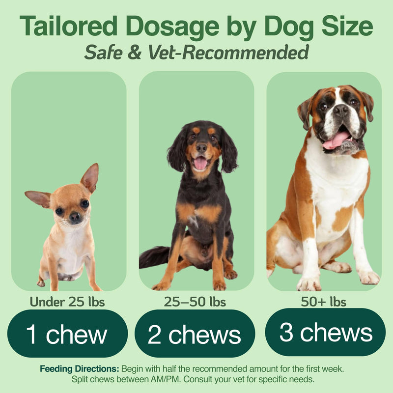 BAZI Allergy Relief Dog Chews – Quercetin, Turmeric, Ashwagandha, Probiotics & Colostrum – Seasonal Allergy, Immune & Digestive Support – for Itchy Skin & Hot Spots – All Breeds & Sizes