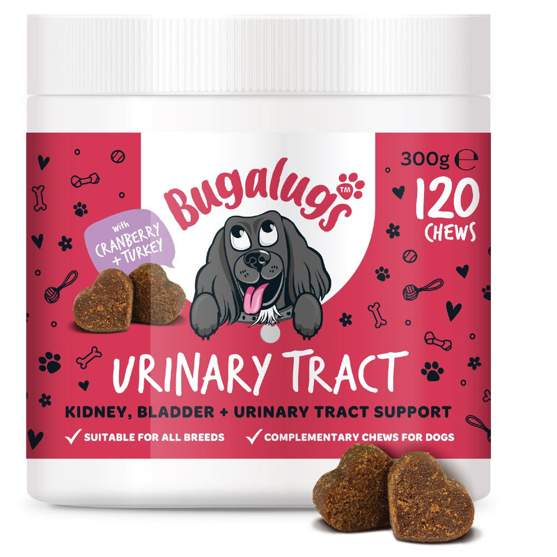 Bugalugs Urinary Tract Dog Chews helps stop dogs urinating in house & dog incontinence. supports UTI, Bladder & Kidney with Cranberry, D-Mannose & Marshmallow root. Grain free dog treats -120 chews