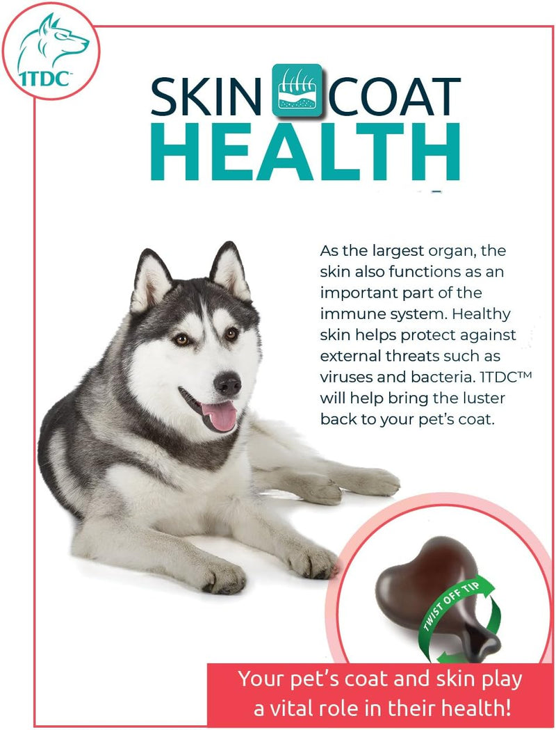 1TDC Dual Action Natural Support Periodontal & Joint Health – Twist Off SoftGels for Dogs & Cats (4- in - 1 Wellness) Supports Oral, Hip & Joint Health, Muscle & Stamina Recovery, Skin & Coat Health 30 SoftGels - BeesActive Australia