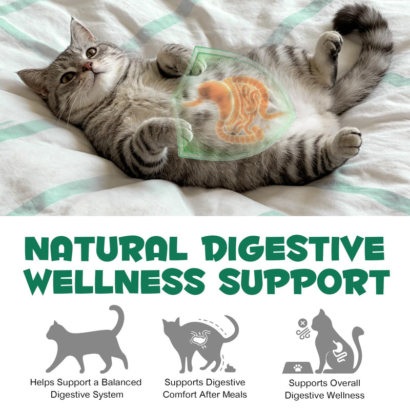Activated Charcoal for Dogs & Cats - Food Grade Powder for Digestive Support & Gut Health | Natural Aid for Gas, Stool Quality & Digestive Balance | Suitable for Small Animals, Poultry & Livestock