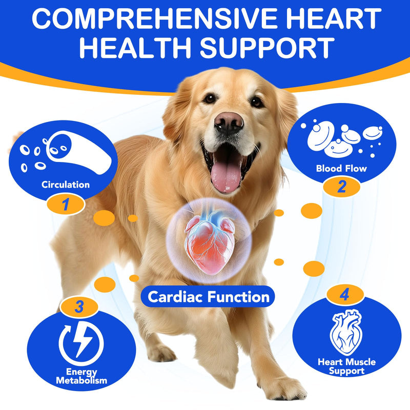 Taurine for Dogs - Taurine Drops for Dog Supports Heart Health, Muscle Function & Daily Vitality Immune System - Liquid Amino Acid Supplement - Pet Wellness Formula for All Breeds Dogs - 2 fl oz