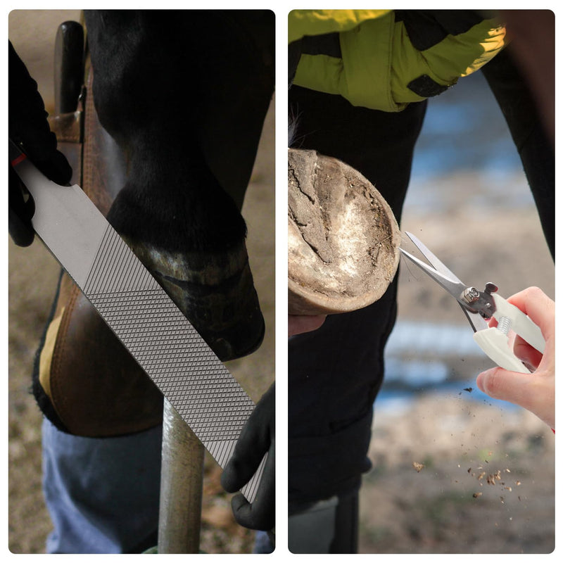 3pcs Goat Hoof Trimmers and File, Nail Clippers for Goats Hoof Nippers Curved/Straight Head Sheep Hoof Trimming Shears Hoof Rasp Horseshoe File for Goat Sheep Lamb Pig Animal Hooves(Off White) - BeesActive Australia